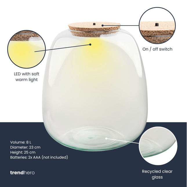 Terrarium bottle ‘Emma' - Incl. LED cork - Closed terrarium Ø 23 cm ↑ 25 cm