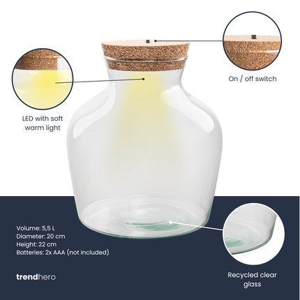 Terrarium Flasche ‘Little Joe’ - inkl. LED-Korken - Geschlossenes Terrarium Ø 20 cm ↑ 22 cm
