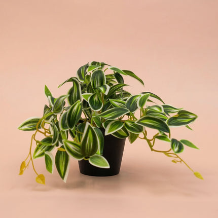 Tradescantia Grün/Weiß im Topf - 19 cm - Kunstpflanze