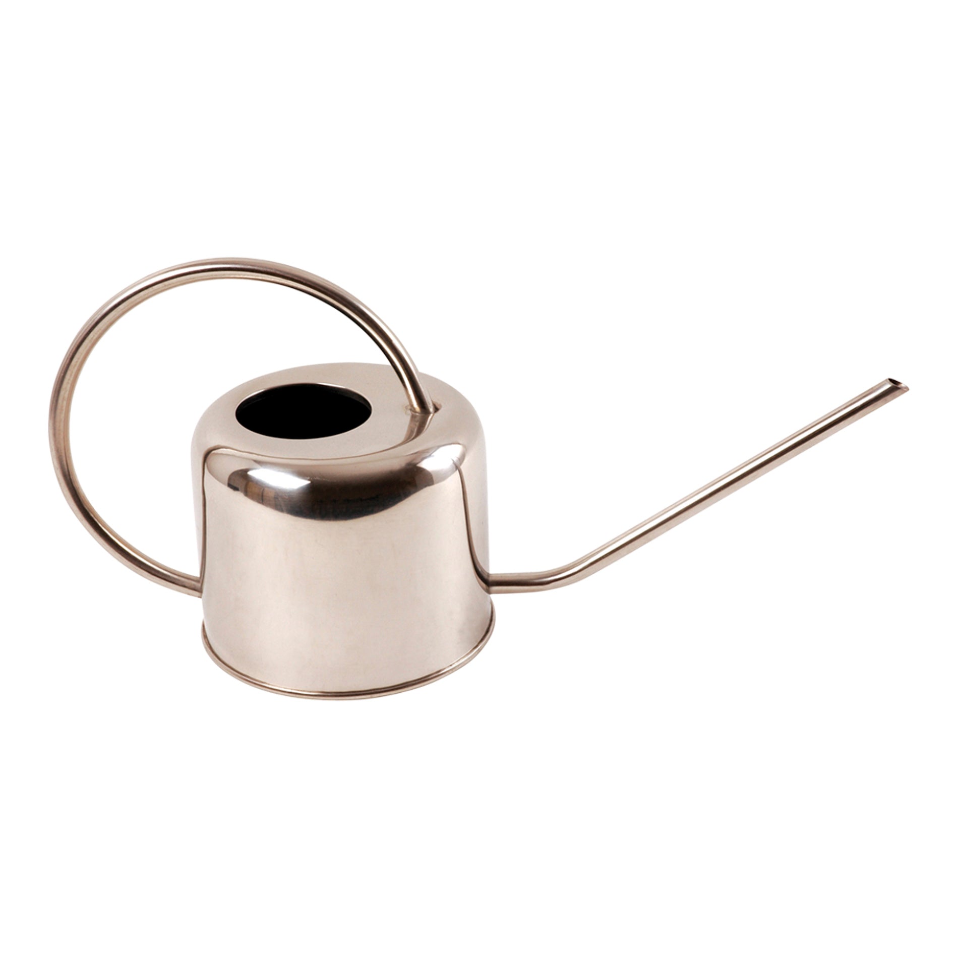 Modern Flower Watering can Stainless Steel