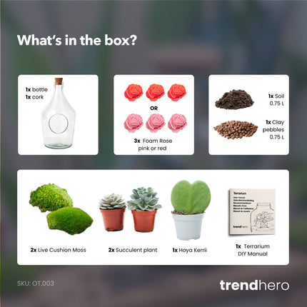 Love in a Bottle - Open terrarium met kurk - DIY kit - Ecosysteem plant - Ø 16 cm ↑ 30 cm
