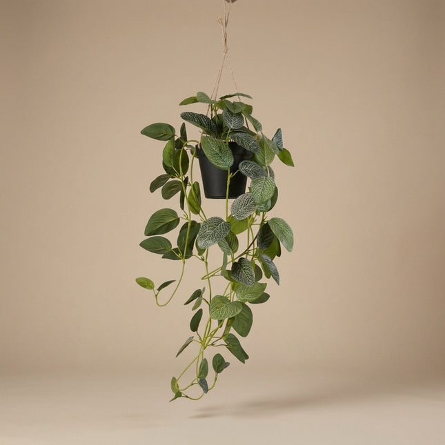 Fittonia - hangplant in pot - 70 cm - Kunstplant
