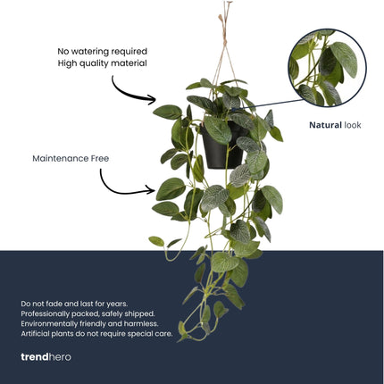 Künstliche Fittonia - Hängepflanze im Topf - 70 cm
