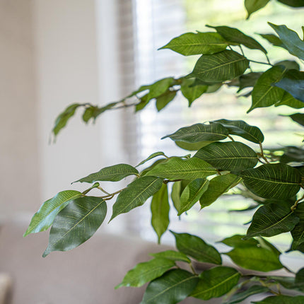 Ficus Liana Kunstboom 140cm - Kunstplant