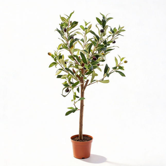 faux olive plant in pot Artificial Olive Tree in Pot 65cm – Lifelike plants – urbanjngl.com