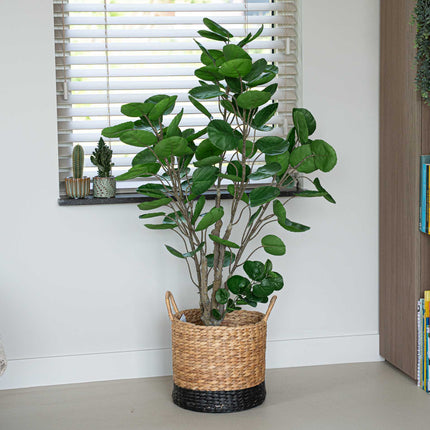 Polyscias boom - 105 cm - Kunstplant