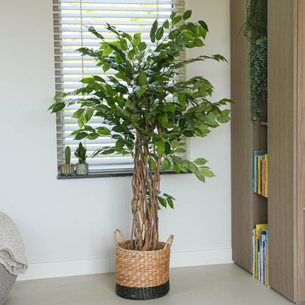 Ficus Liana Kunstboom 140cm - Kunstplant