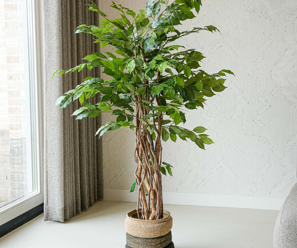 artificial plants and trees indoor near me Ficus Liana Tree 140cm
