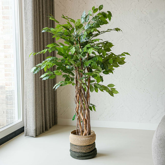 indoor plastic plants Ficus Liana Tree 140cm