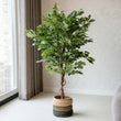 Ficus Deluxe Vine Tree 140 cm - Kunstpflanze