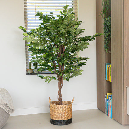 Ficus Deluxe Vine Tree 140 cm - Kunstpflanze