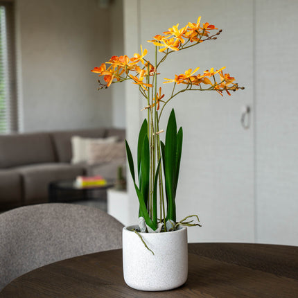 Renanthera Orchidee Geel & Oranje in pot - 56 cm - Kunstplant