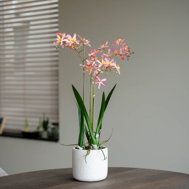 Renanthera Orchid Pink in pot - 56 cm - Artificial plant