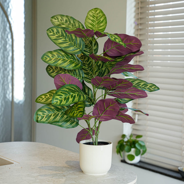 Calathea bush in pot - Artificial plant - 65 cm