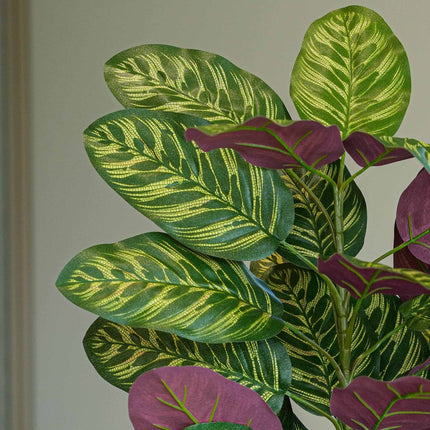 Calathea bush in pot - Artificial plant - 65 cm
