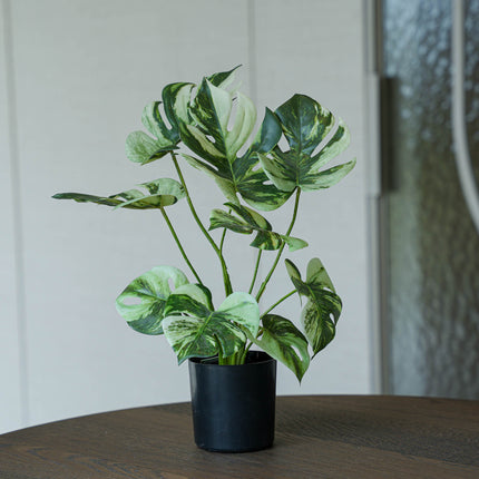 Monstera Busch im Topf 40 cm - Kunstpflanze