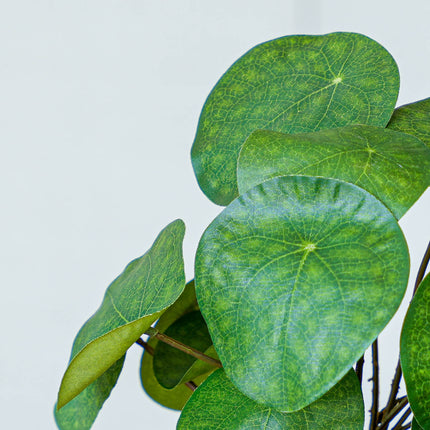 Pilea bush 25 cm in black pot - Artificial plant