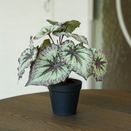 Begonia 26 cm – In pot – Grijs-paarse bladeren – Kunstplant – UV-bestendig – Binnen & buiten