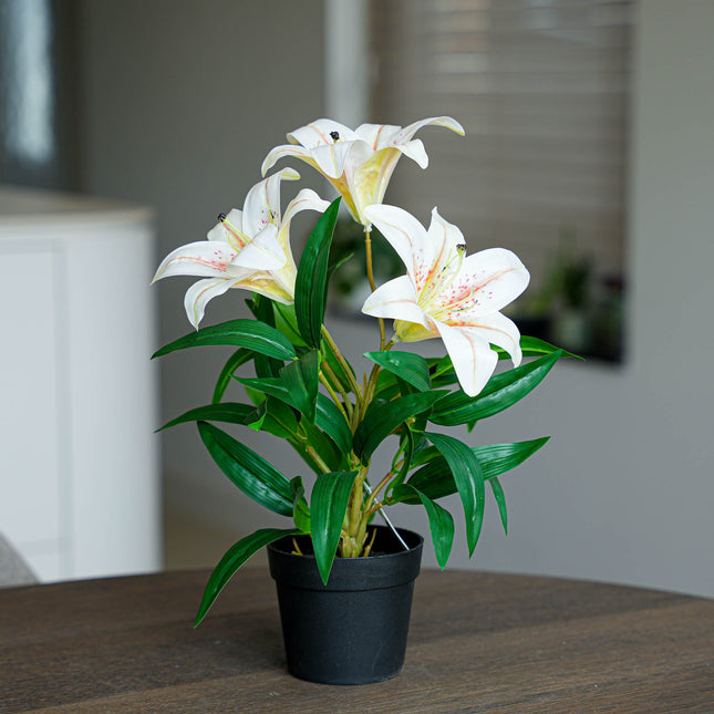 Lily in pot - Cream - Artificial plant - ↑ 33 cm