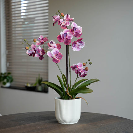 Orchidee Vanda kunstplant 60 cm - Oudroze - In pot