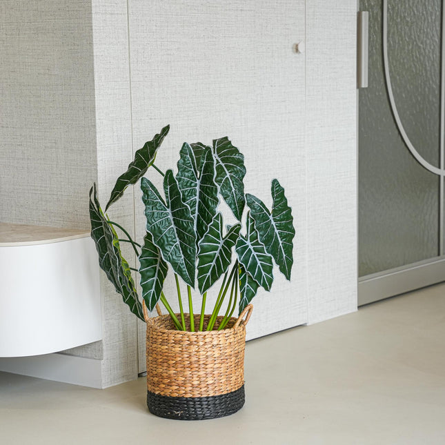 Alocasia 80 cm - Artificial plant