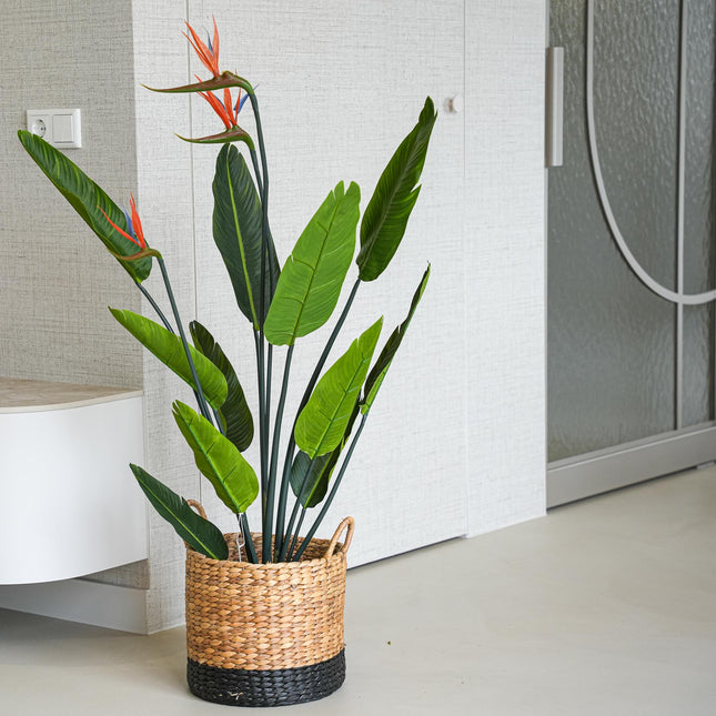 Strelitzia with Flowers – 120 cm – In Black Pot – Artificial Plant
