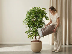 Step 3. Finishing touch