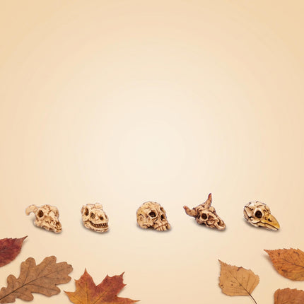 Mini Skull set - 5 Stk. - Miniaturfiguren ↔ 2 cm ↑ 1 cm