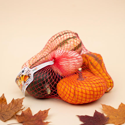 Decoration Pumpkins Net Bag - Ornamental Fruit - Set of 5 - Ø 9 cm