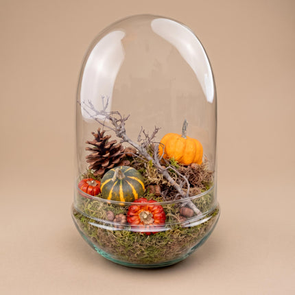 Autumn closed terrarium - Egg XL with deco kit Medium 2 Pumpkins