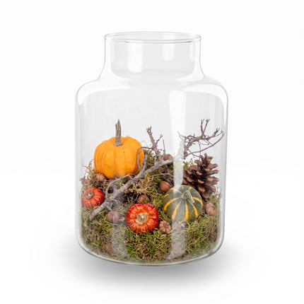 Autumn terrarium Little Milky Ø 17cm ↑ 25cm Medium kit