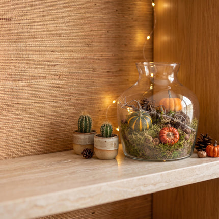 Autumn terrarium Little Joe Ø 20cm ↑ 22cm Medium deco 2 Pumpkins