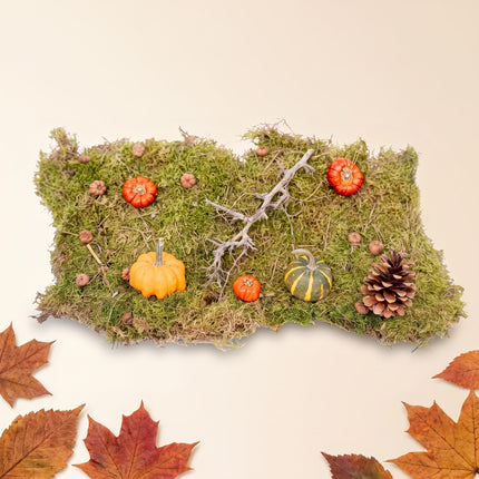 Herfst deco kit Medium met 3 echte Pompoennen Ø 6 cm