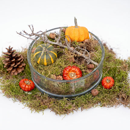 Herfstschaal Medium glas 2 pompoenen mos dennenappels Ø 20 cm
