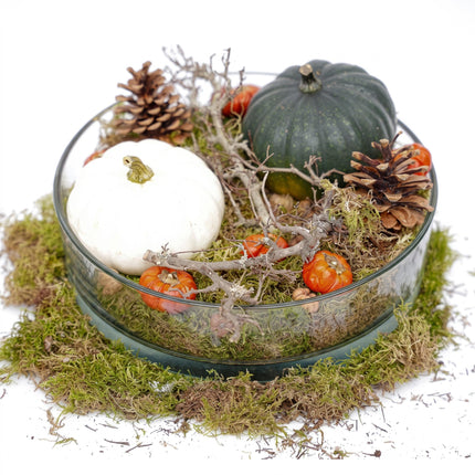 Herfstschaal Pompoen Groot - Glas met 2 echte Pompoenen Ø 12cm