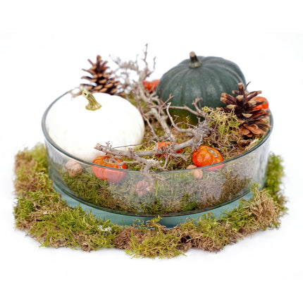 Herfstschaal Pompoen Groot - Glas met 2 echte Pompoenen Ø 12cm