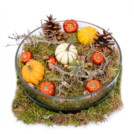 Herfstschaal groot - Glas Ø 29 cm met pompoenen, mos, dennenappels
