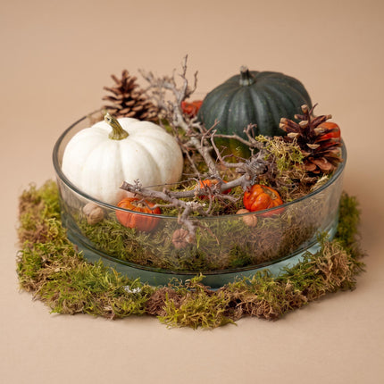 Herfstschaal Pompoen Groot - Glas met 2 echte Pompoenen Ø 12cm