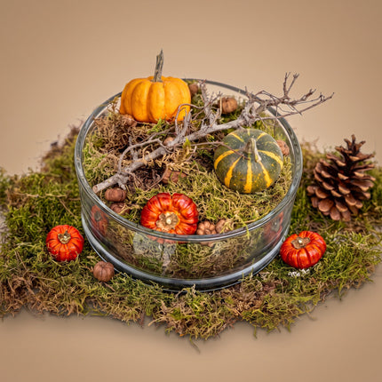 Herfstschaal Medium glas 2 pompoenen mos dennenappels Ø 20 cm