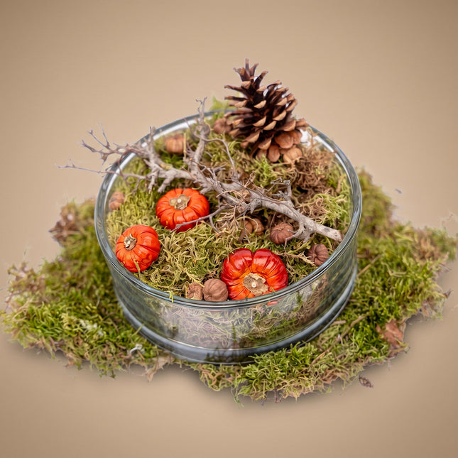 Herbstschale Medium - Glas mit Kürbissen, Deko - (Ø 20 cm ↑ 8 cm)