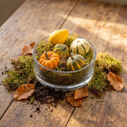 Herbstschale Kürbis Medium - Glas mit 5 echten Kürbissen, Moos
