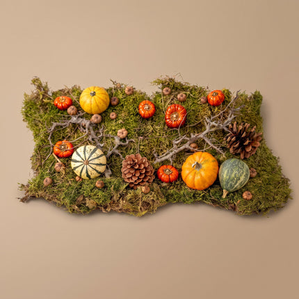 Herbst-Deko-Set 4 echte Kürbisse Ø 6 cm + Moos Holz Zapfen