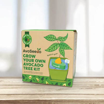 AvoSeedo: Grow Your Own Avocado Tree Kit