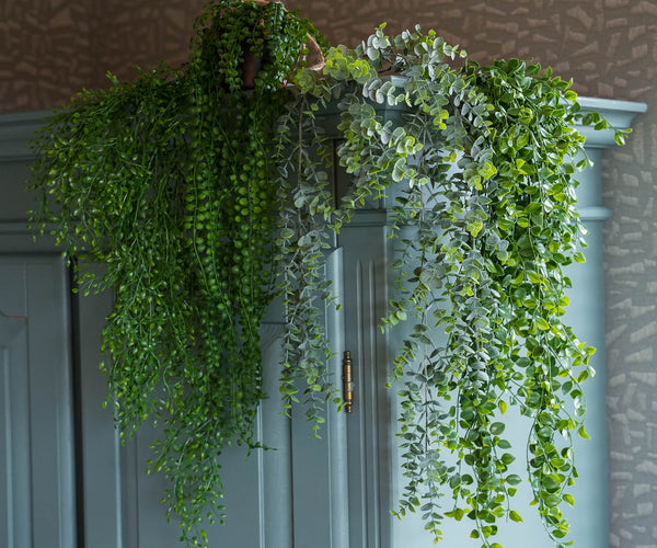 Hanging Plants XL 4pcs
