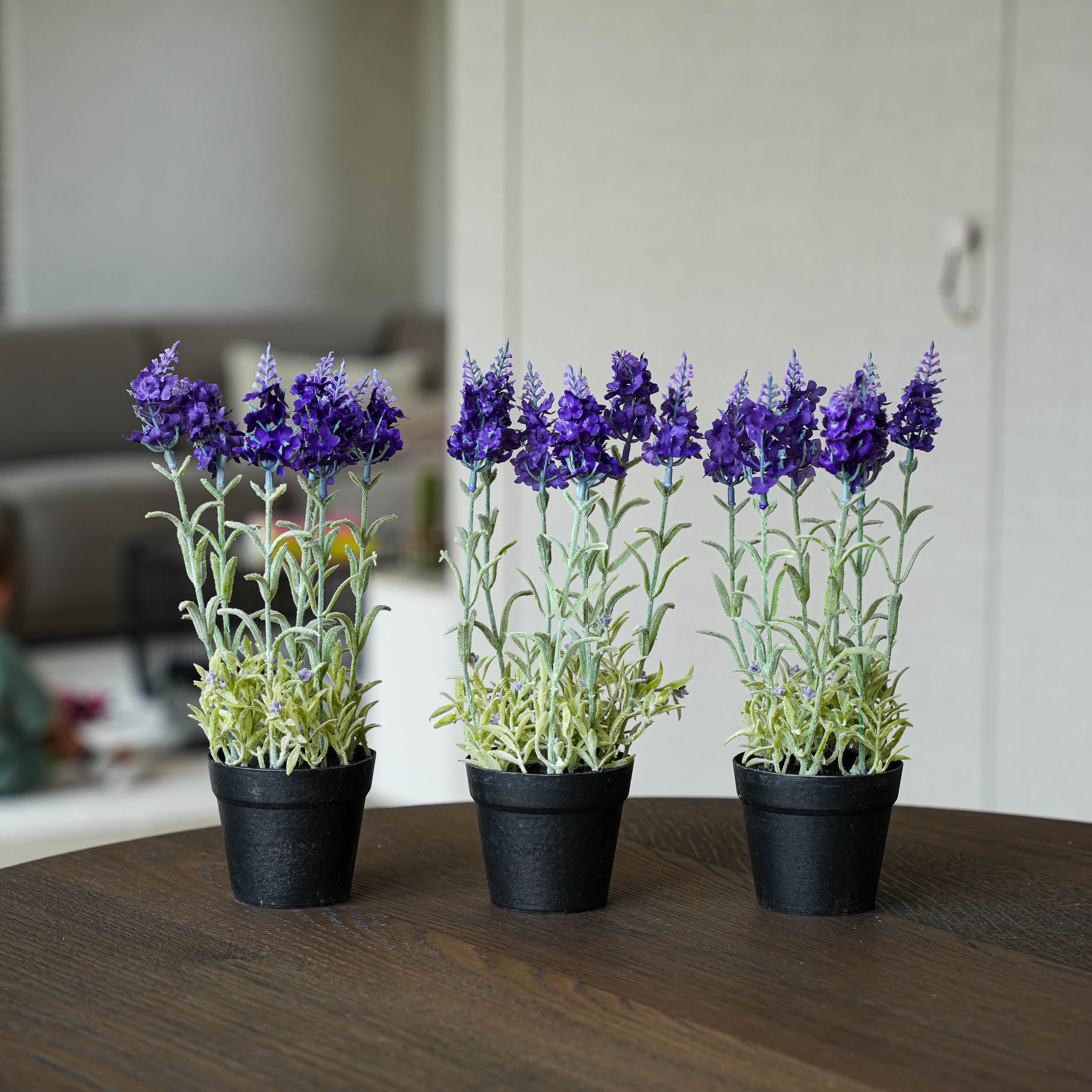 Lavendel 3er-Set