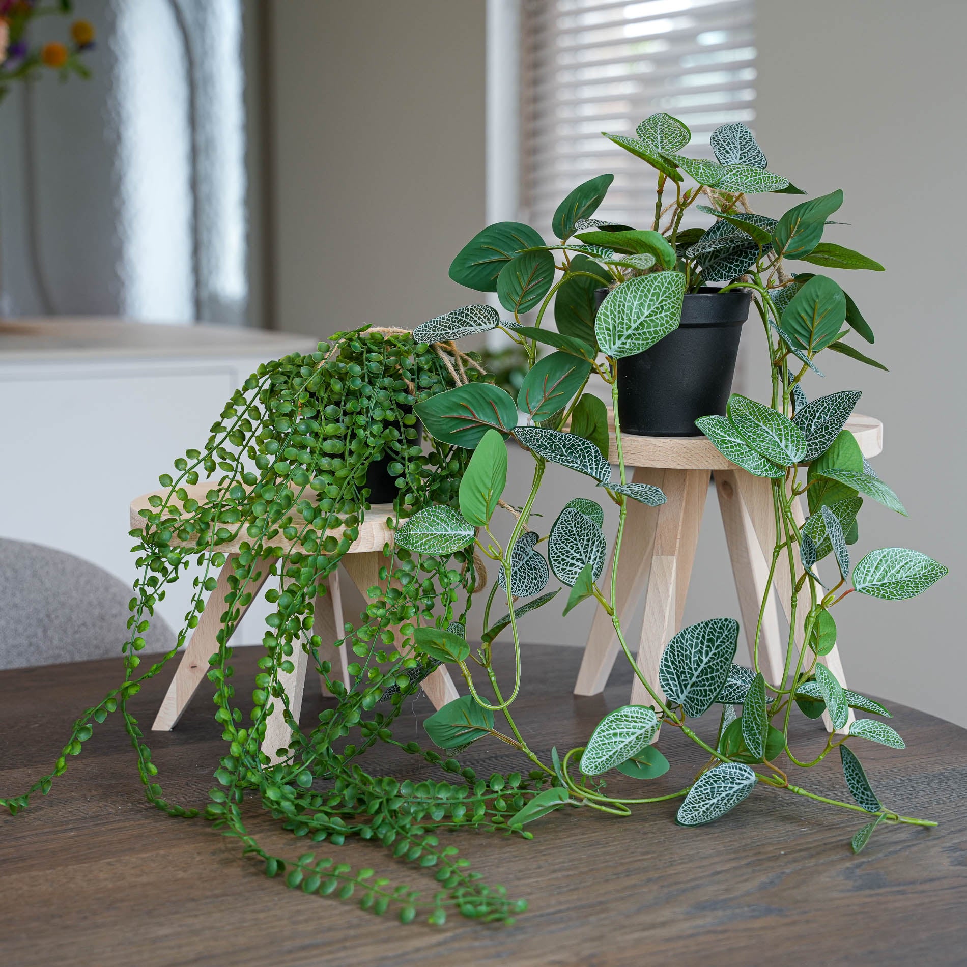 hanging plants sale Hanging Plants with Rope - 2pcs