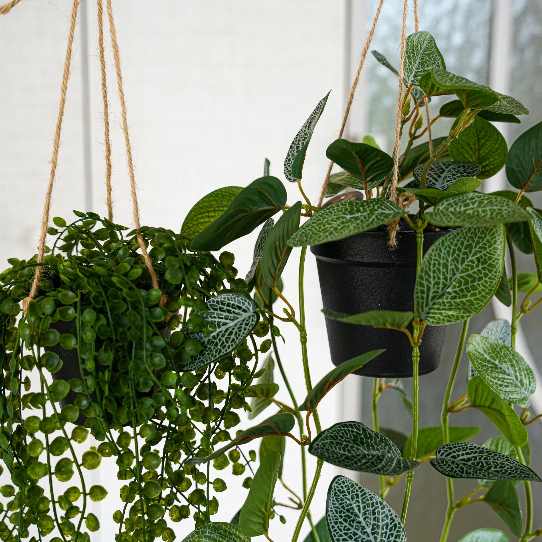 potted hanging artificial plants Hanging Plants with Rope - 2pcs
