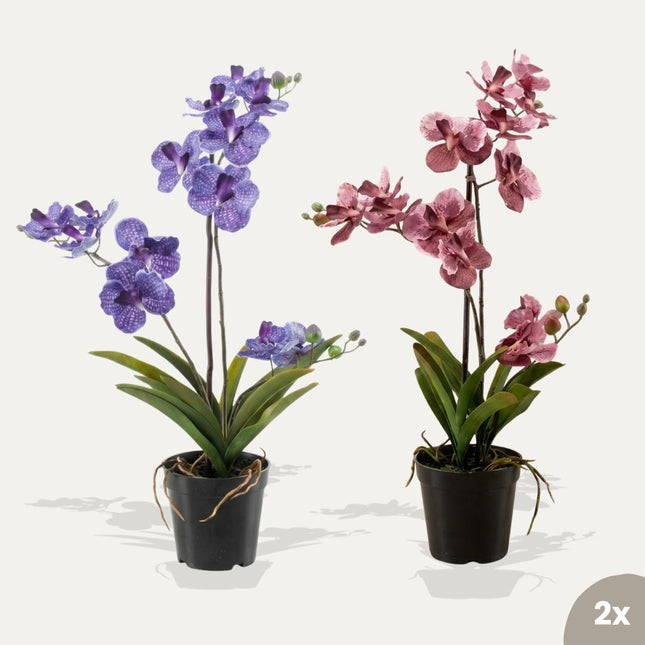 Vanda orchidee - 2 stuks - Kunstplanten - Bundelset