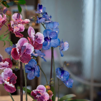 Orchid Vanda mix - 2 pcs - Bundle product - Artificial plants