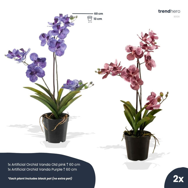 Vanda orchidee - 2 stuks - Kunstplanten - Bundelset